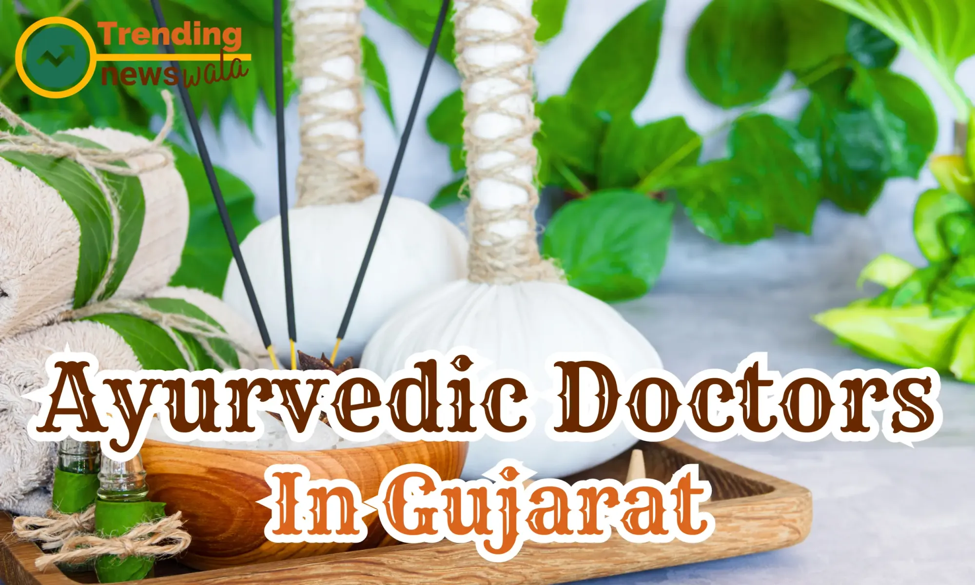 Ayurvedic Doctors In Gujarat