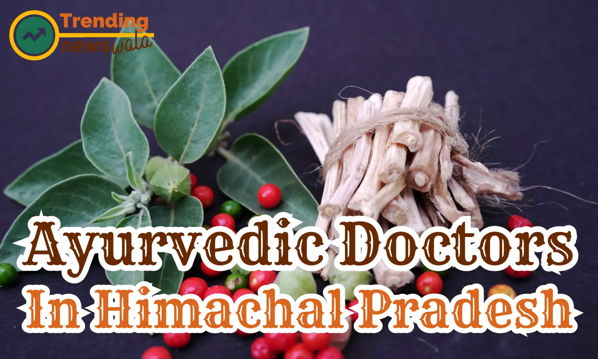 Ayurvedic Doctors in Himachal Pradesh
