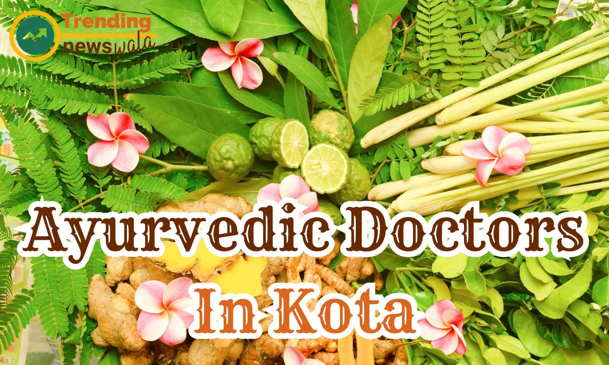 Ayurvedic Doctors In Kota