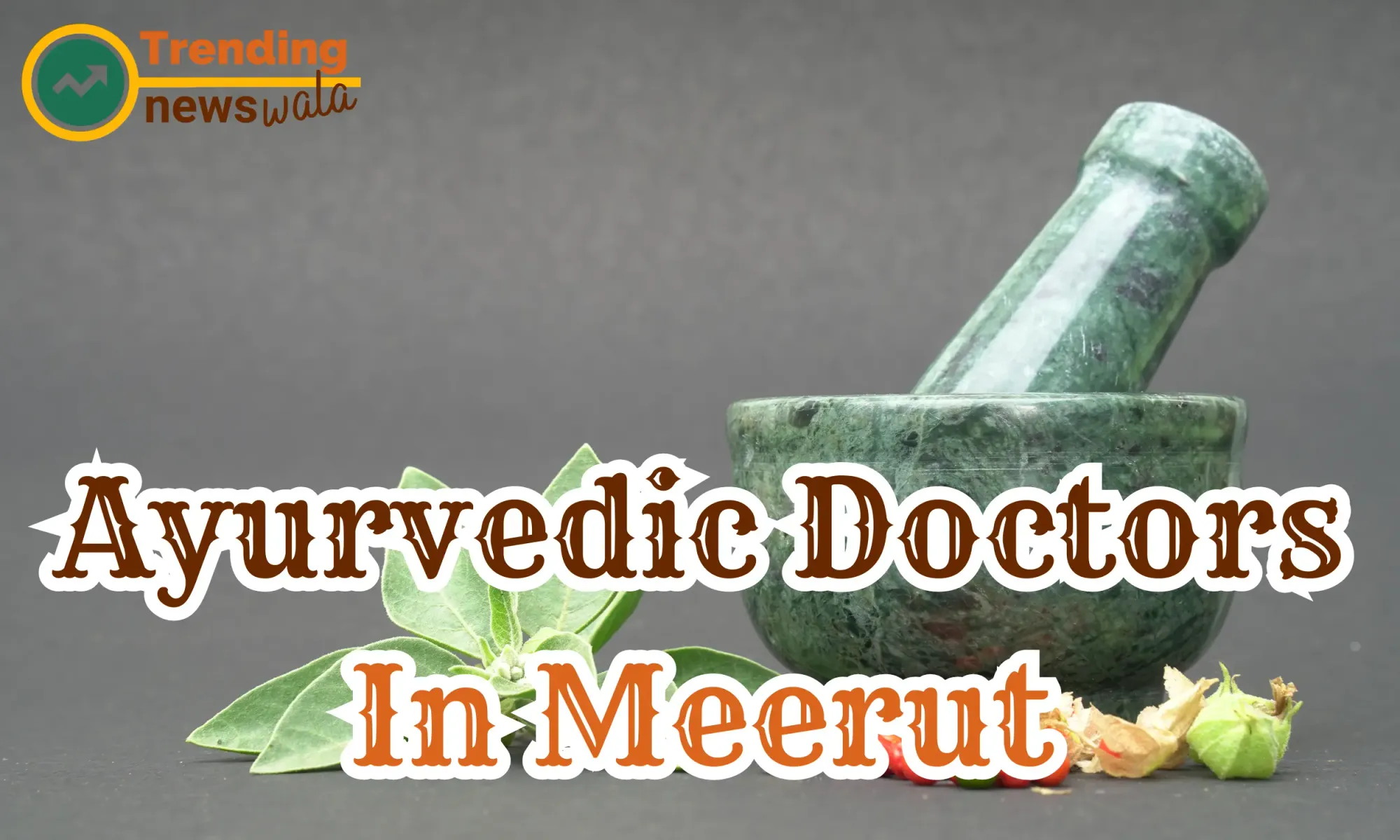 Ayurvedic Doctors In Meerut