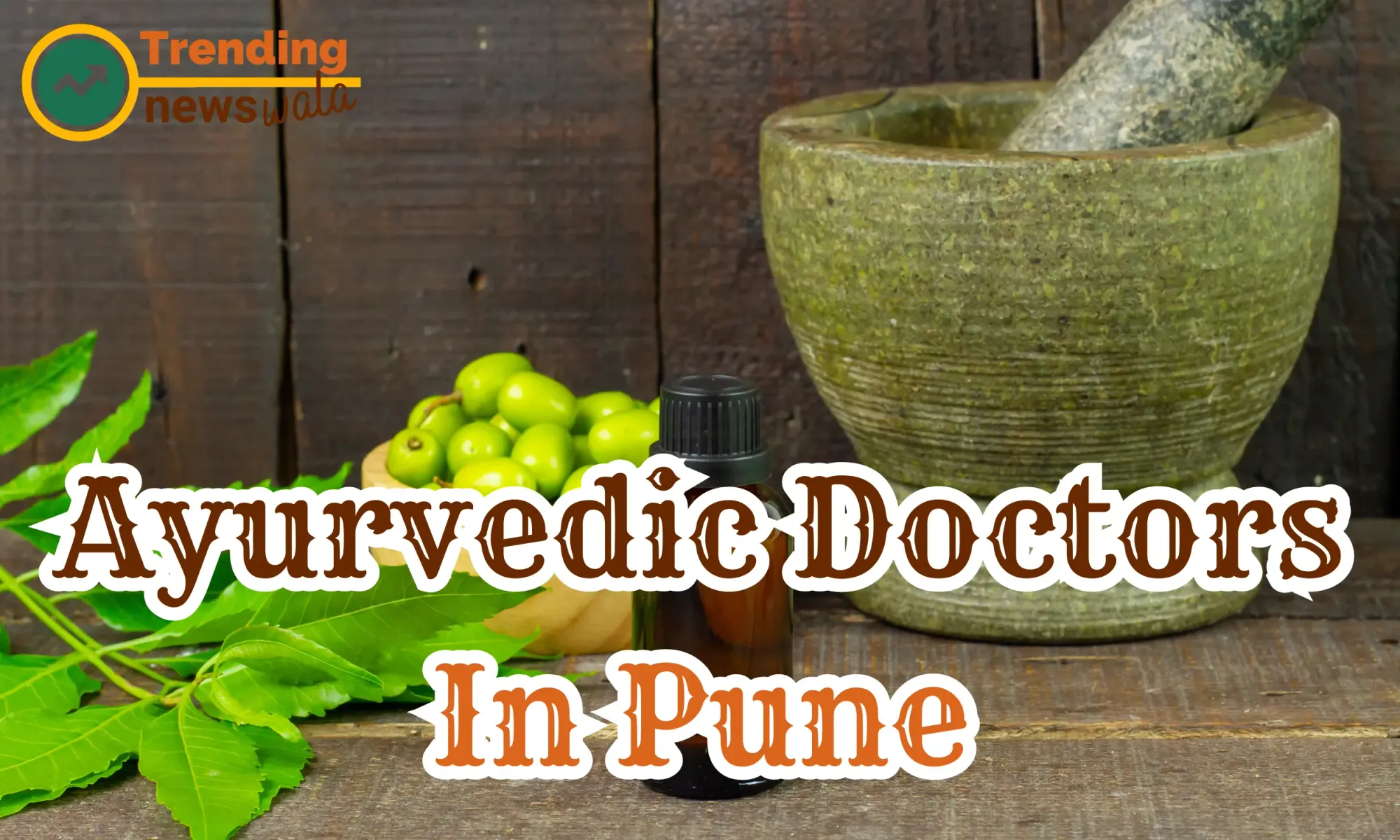 Ayurvedic Doctors in Pune