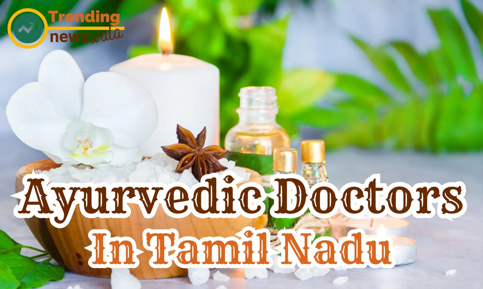 Ayurvedic Doctors In Tamil Nadu