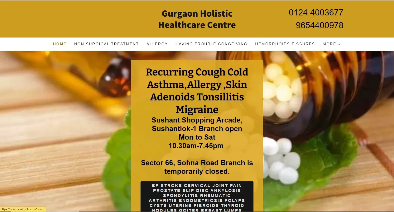 Gurgaon Holistic Healthcare Clinic,Gurgaon