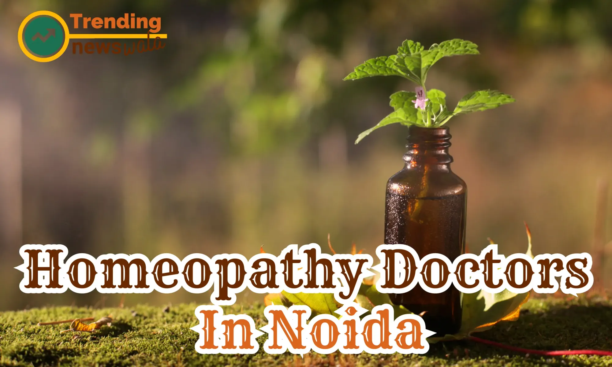Homeopathy Doctors In Noida