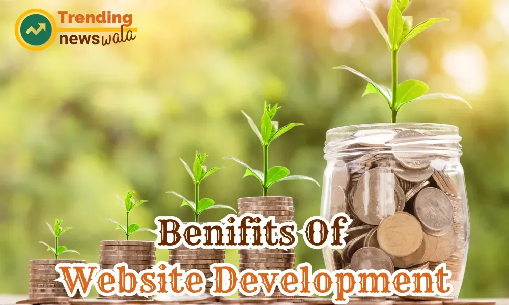  benifits Of Website Development Company in Raipur