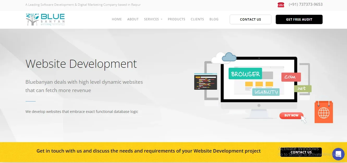   Blue Banyan Website Development Company in Raipur