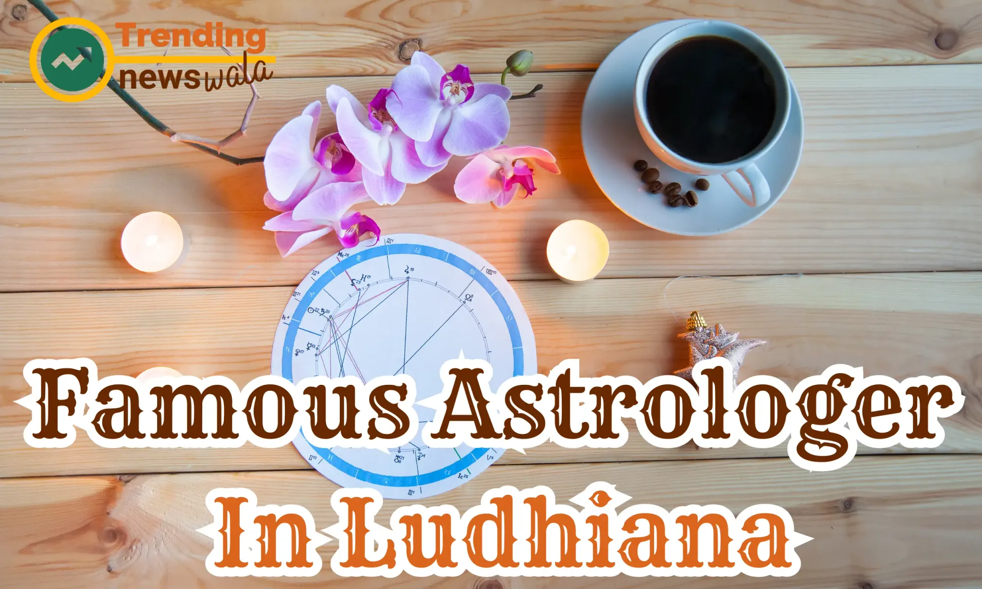 Famous Astrologer In Ludhiana