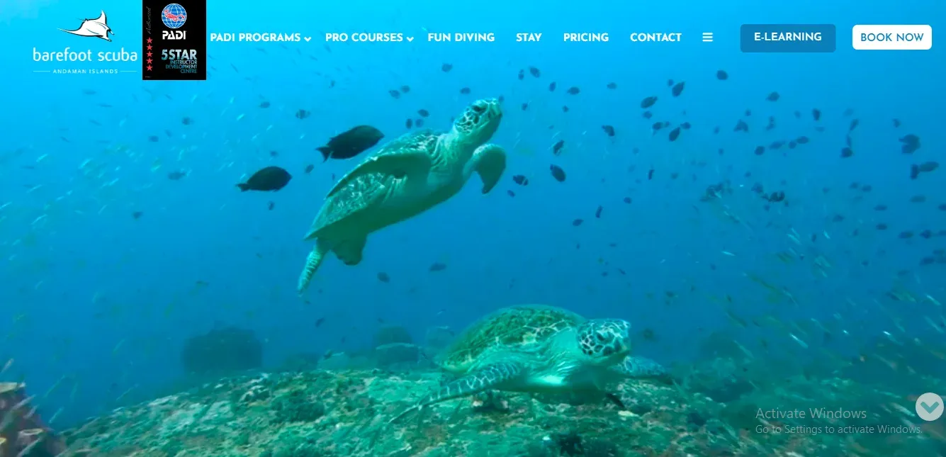 Top 10 Affordable Scuba Diving In Andaman 