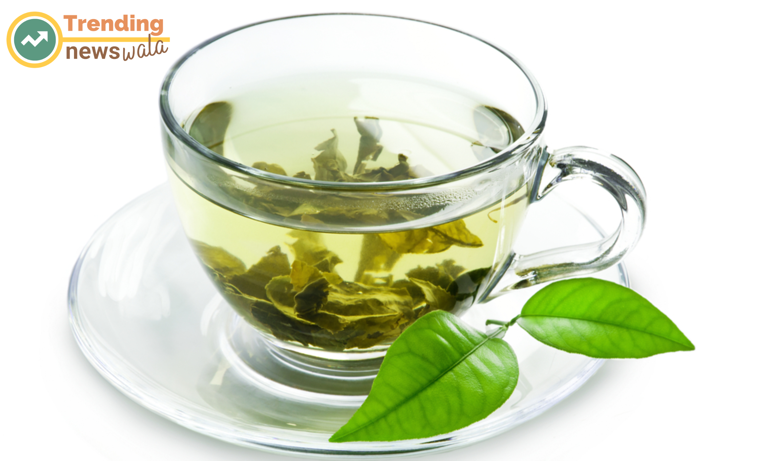 Dental Benefits of Drinking Green Tea, Reducing Inflammation and Gum Disease