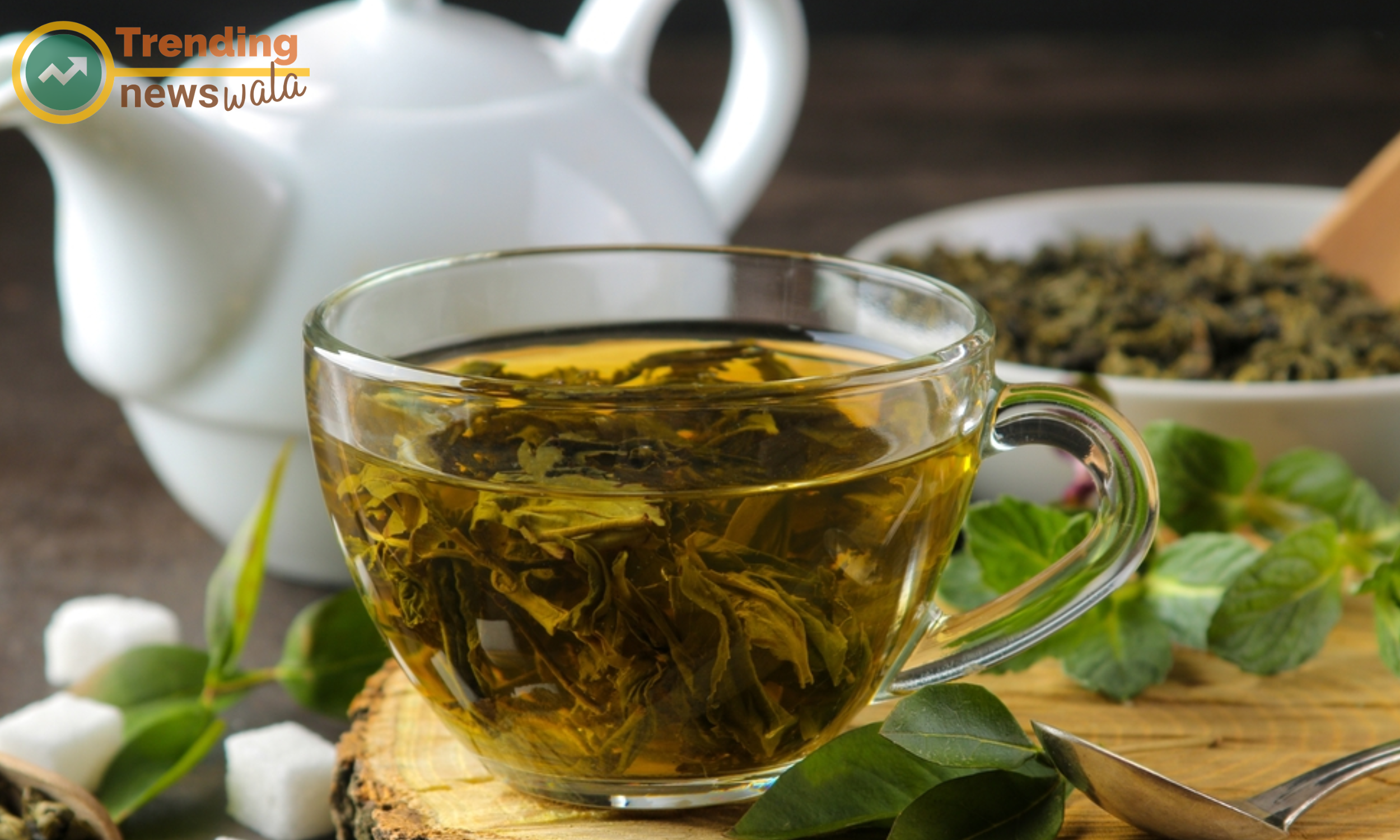 Dental Benefits of Drinking Green Tea, Supporting Salivary Health