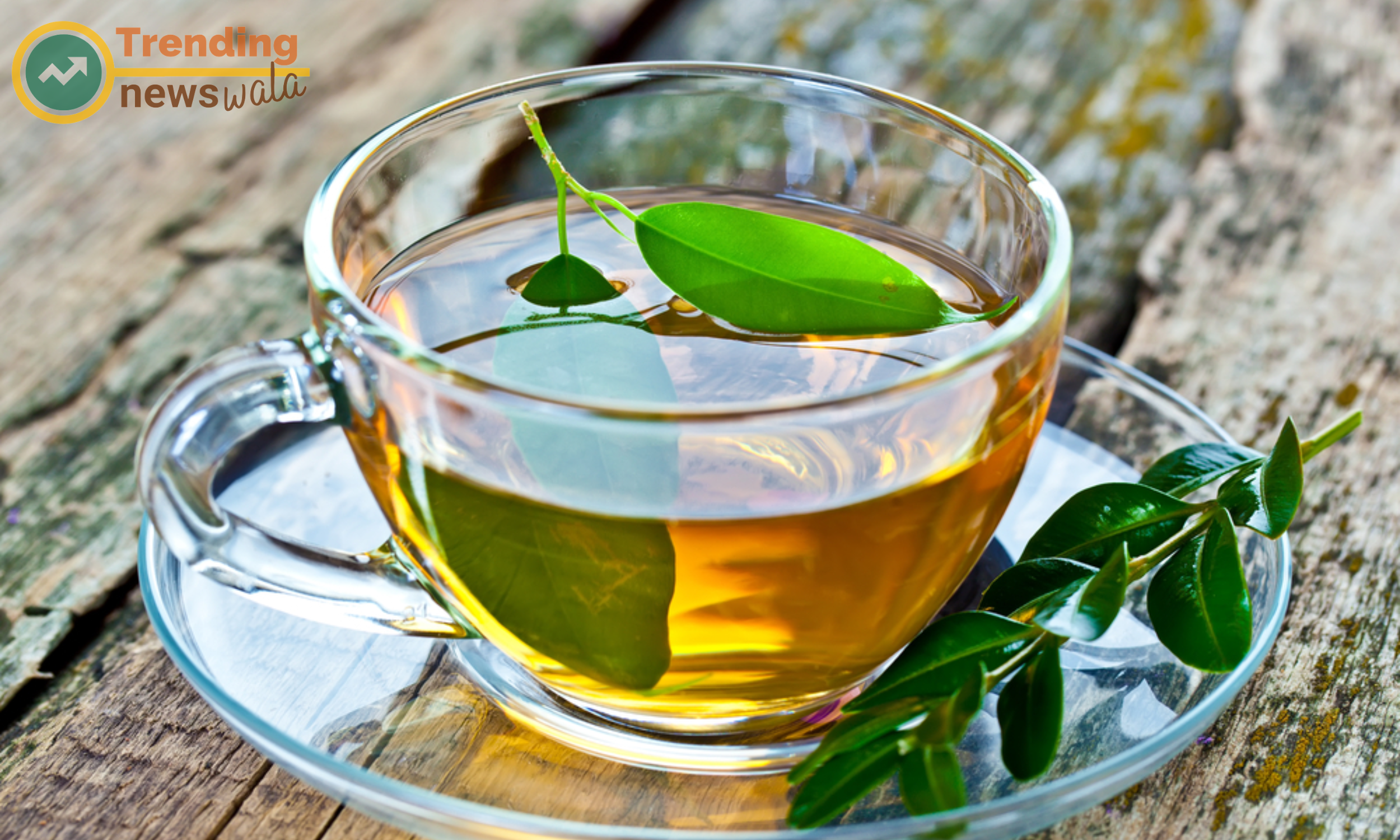 Dental Benefits of Drinking Green Tea, Freshening Breath Naturally