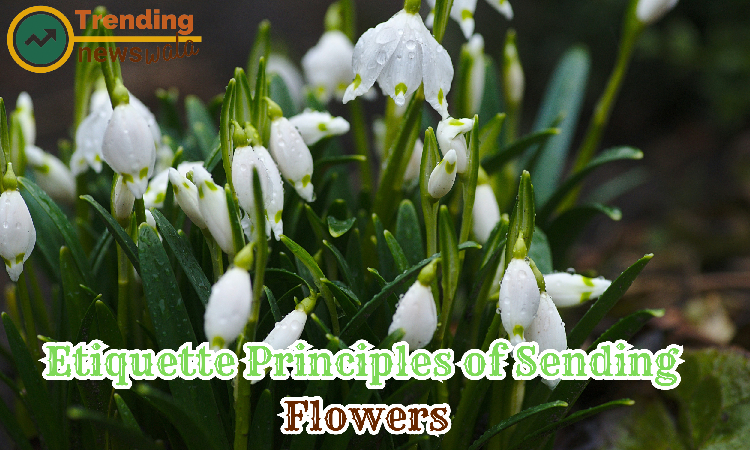 Etiquette Principles of Sending Flowers