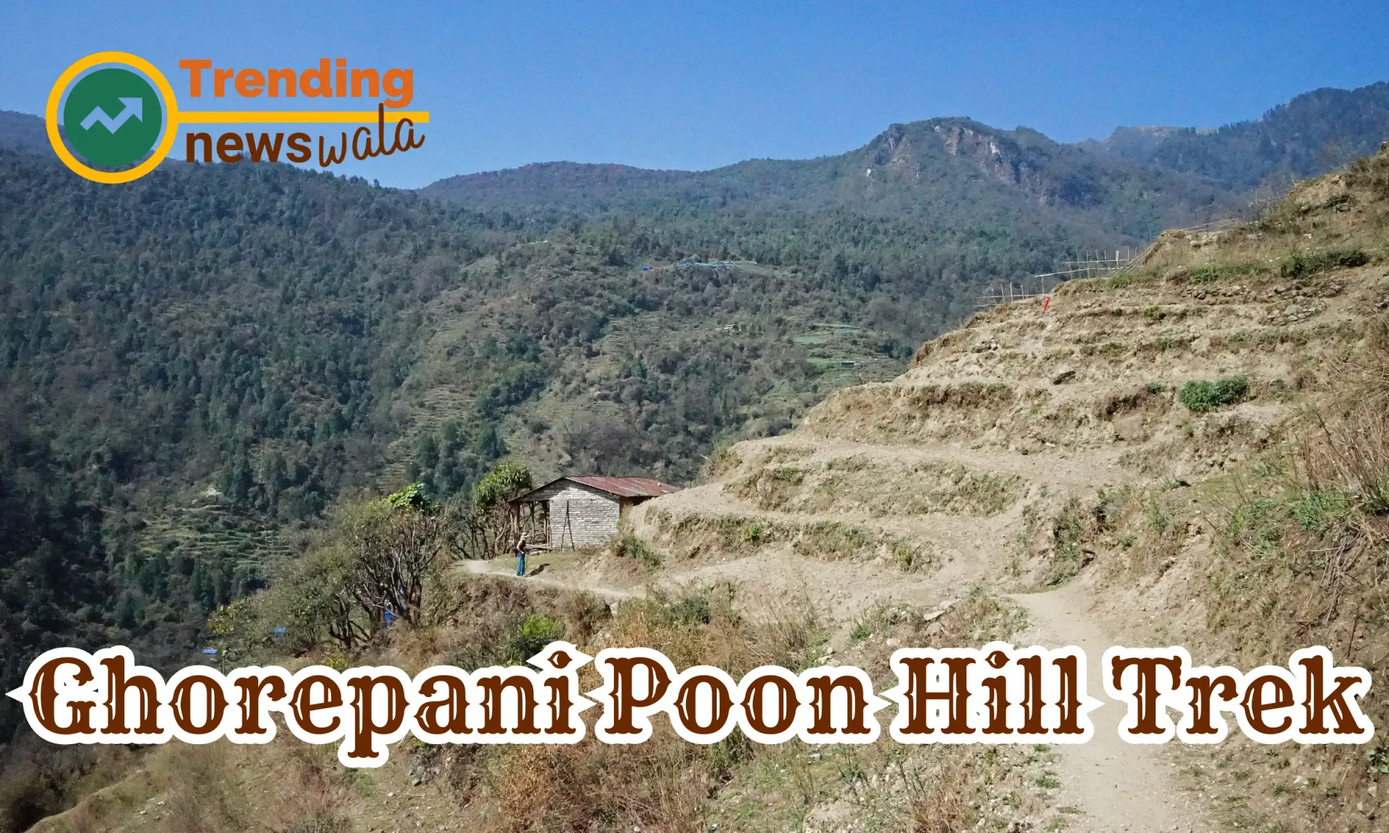 The Ghorepani Poon Hill Trek is a popular and relatively short trek in the Annapurna region of Nepal