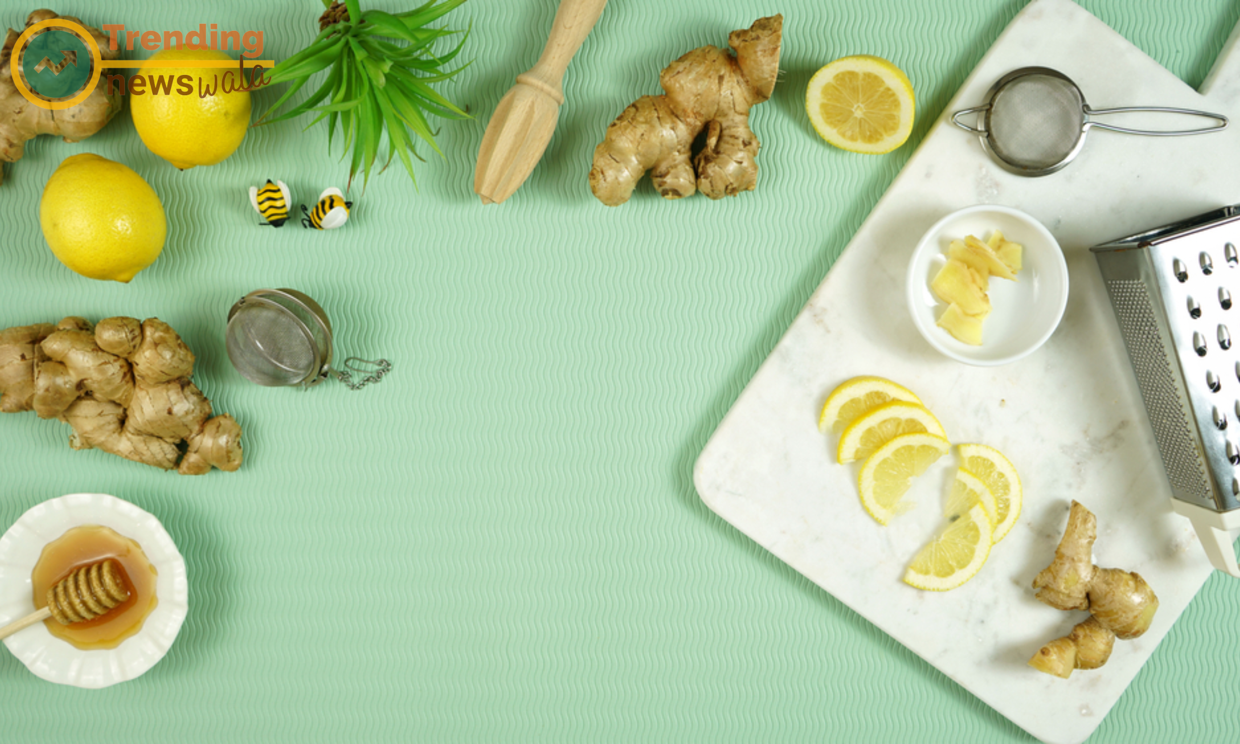 Ginger And Its Benefits, Anti-Cancer Potential
