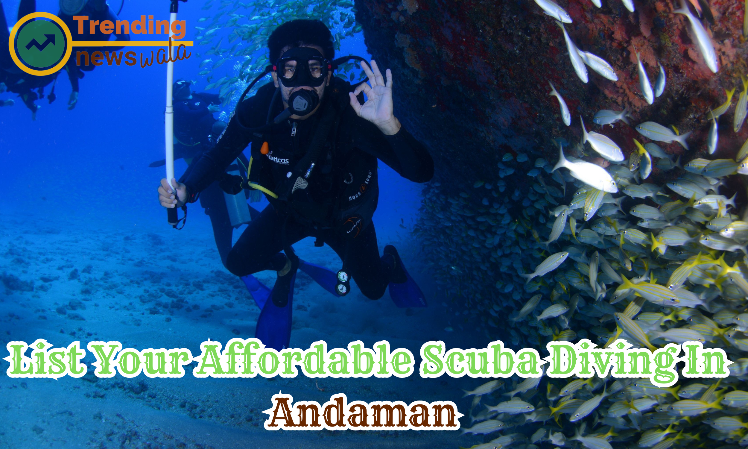 List Your Top 10 Affordable Scuba Diving In Andaman 