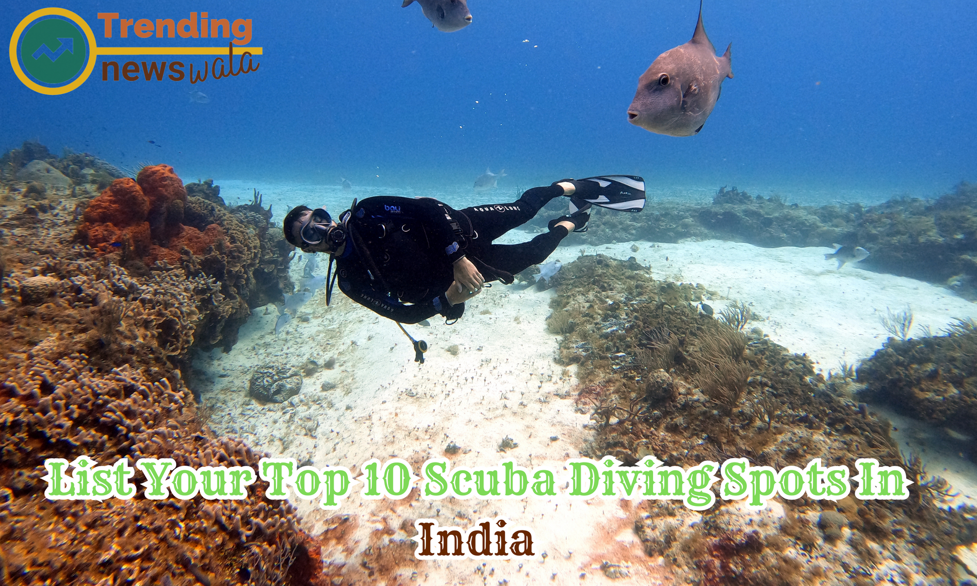 List Your Top 10 Scuba Diving Spots In India- Survey 2024