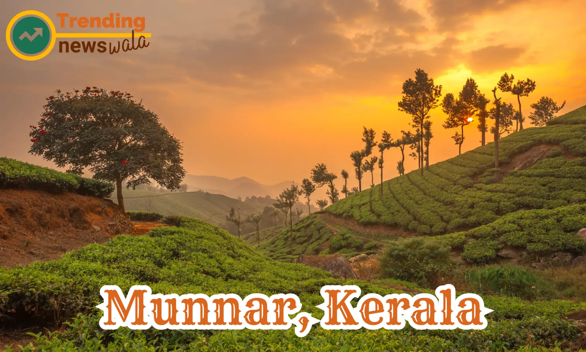 Munnar, located in the Western Ghats of Kerala, India,