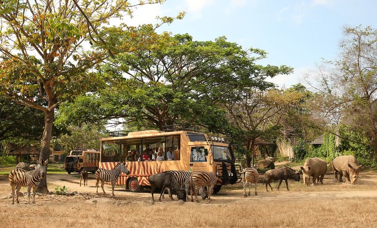 Machiya Safari Park