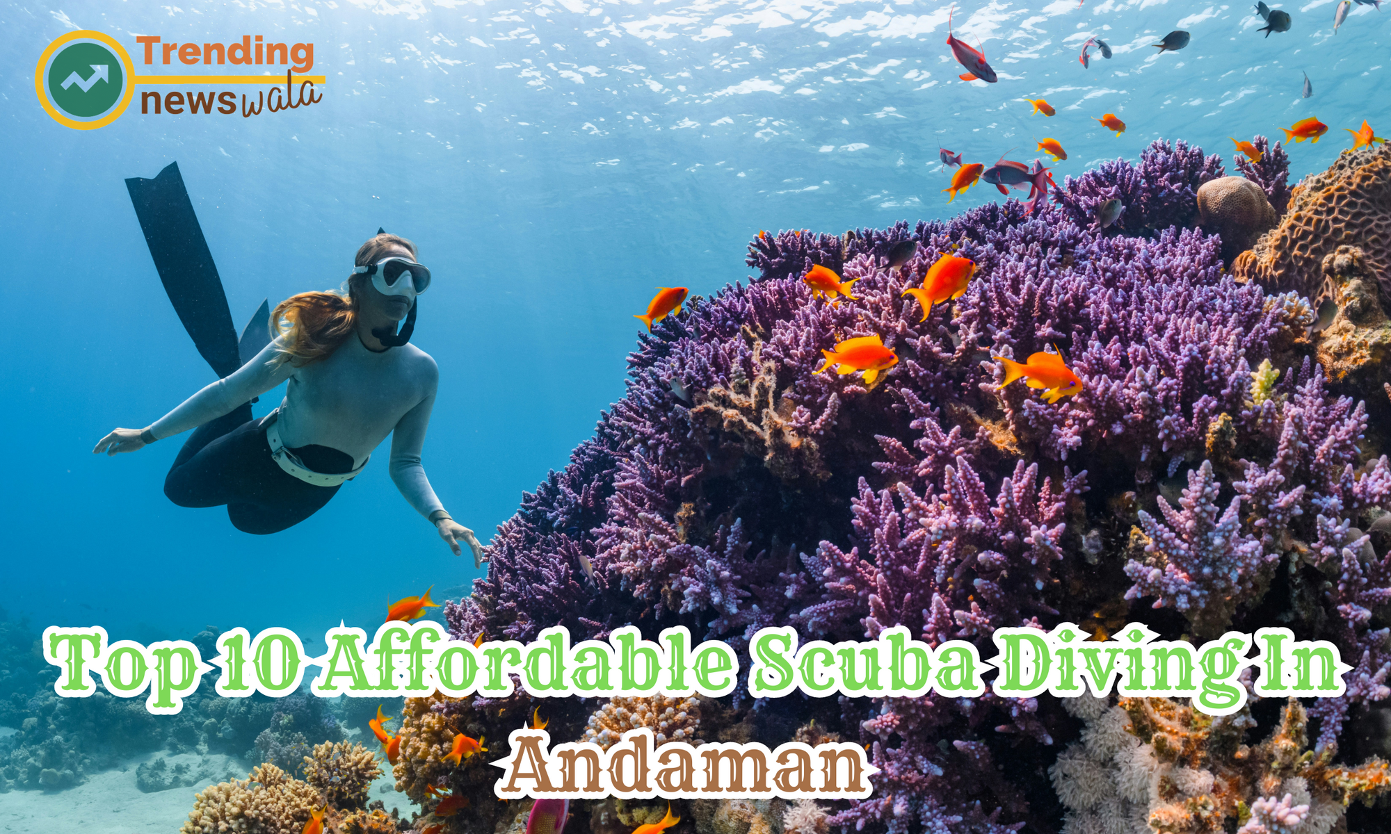 Updated Top 10 Affordable Scuba Diving In Andaman