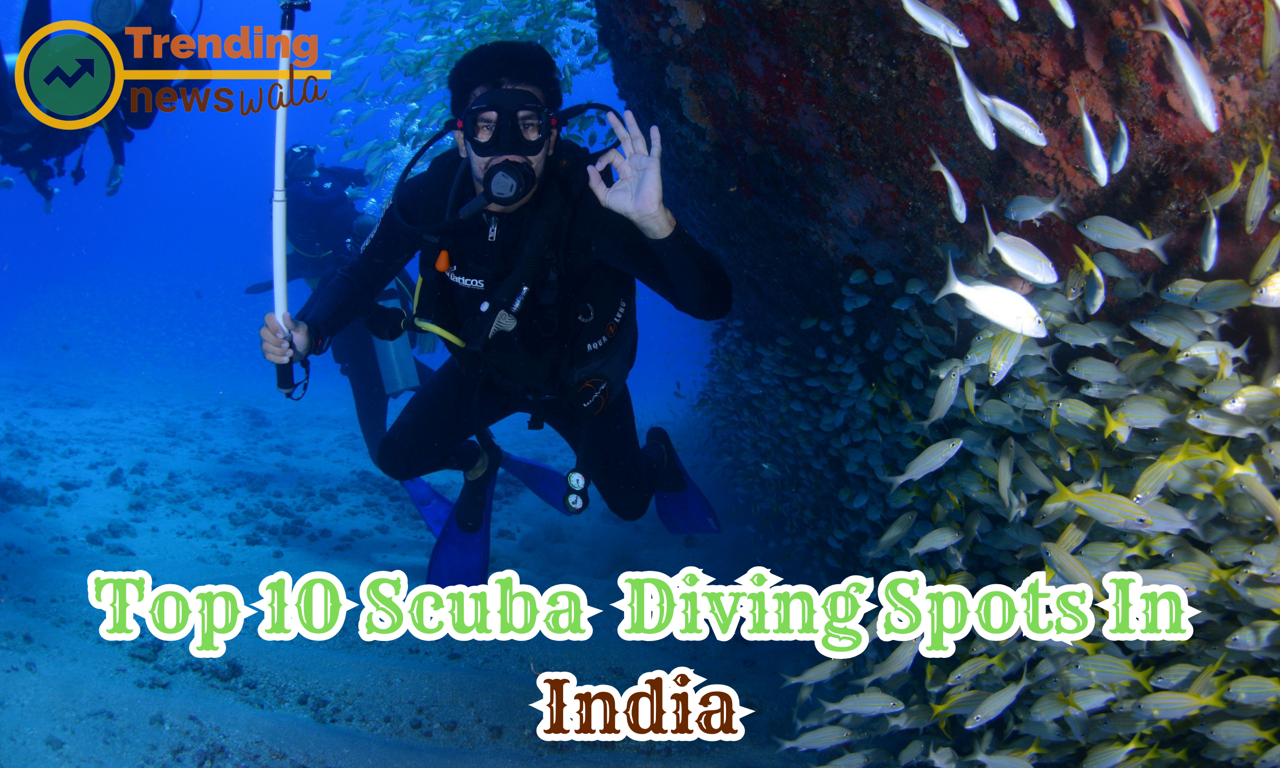 Top 10 Scuba Diving Spots In India-2024