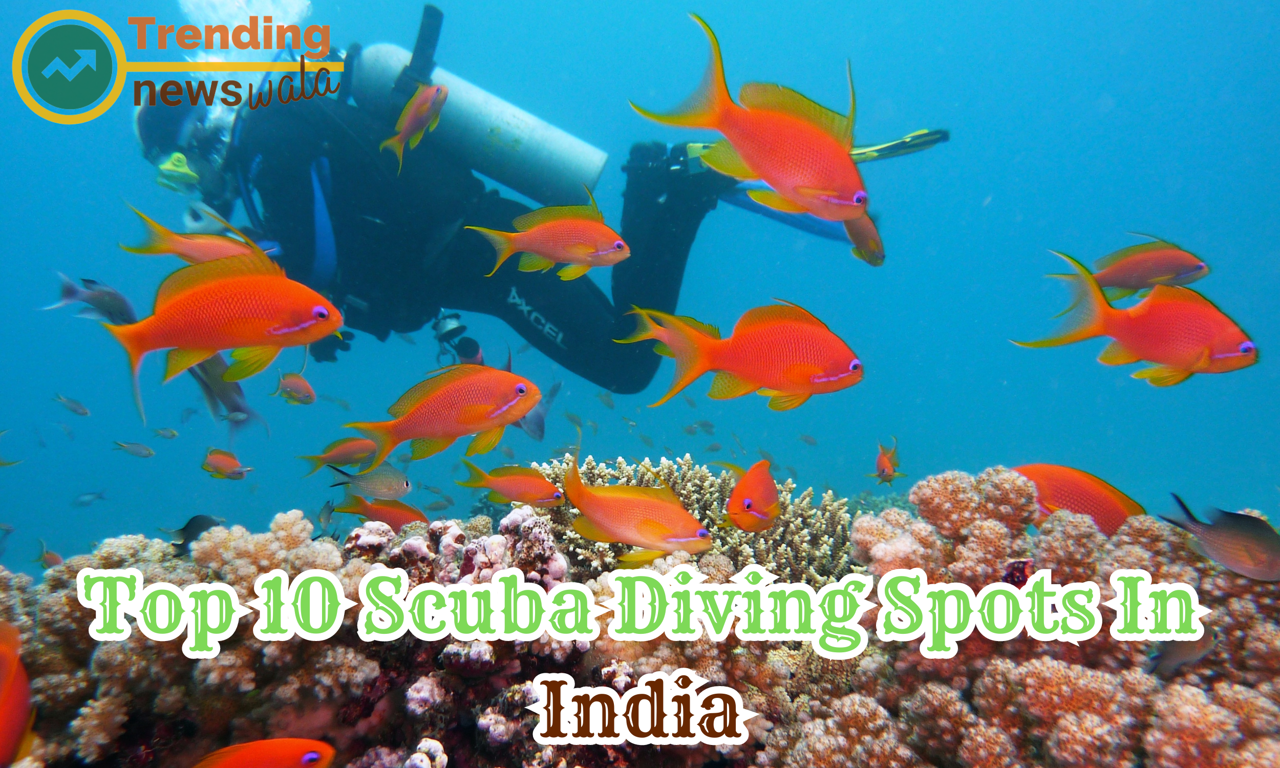 Top 10 Scuba Diving Spots In India- Survey 2024