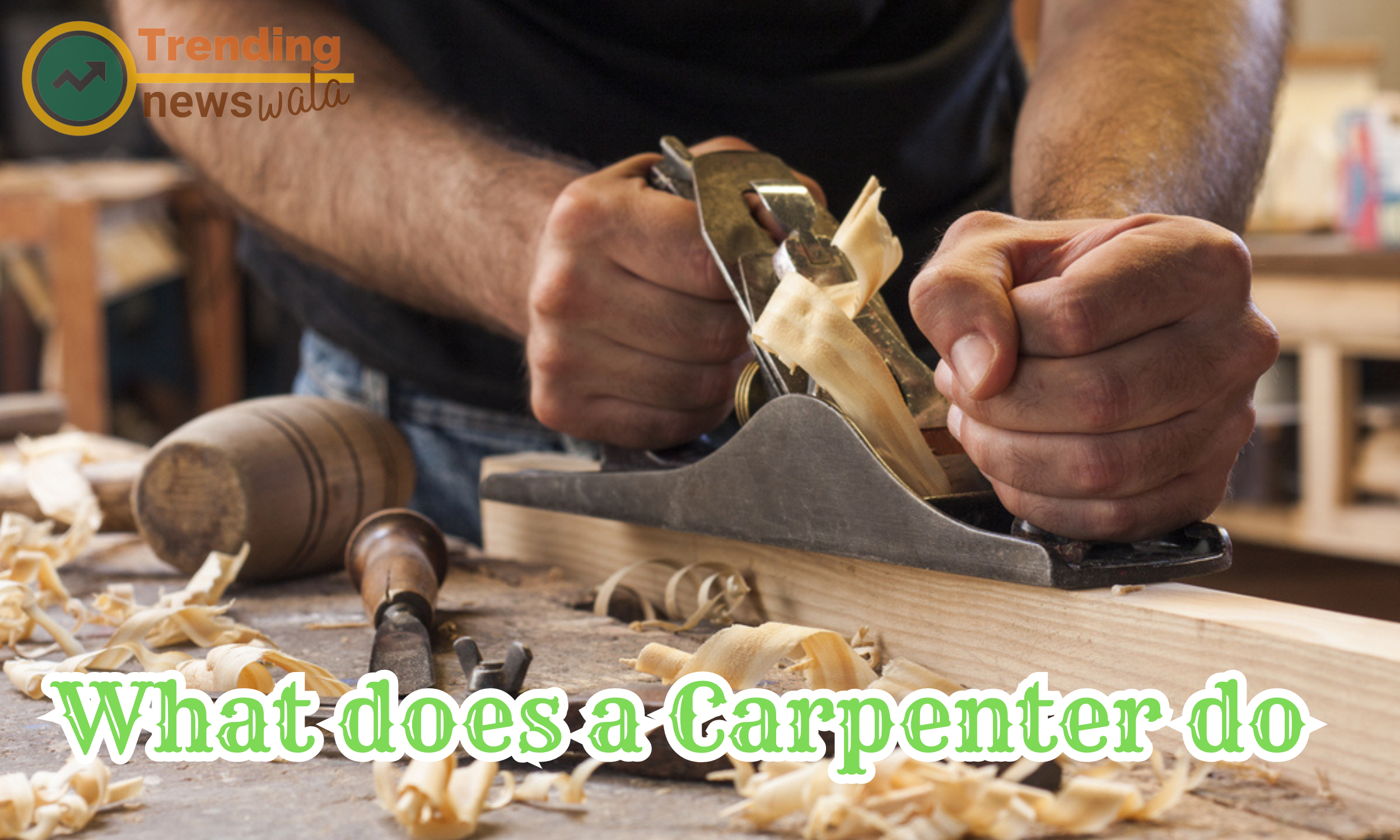 What does a Carpenter do