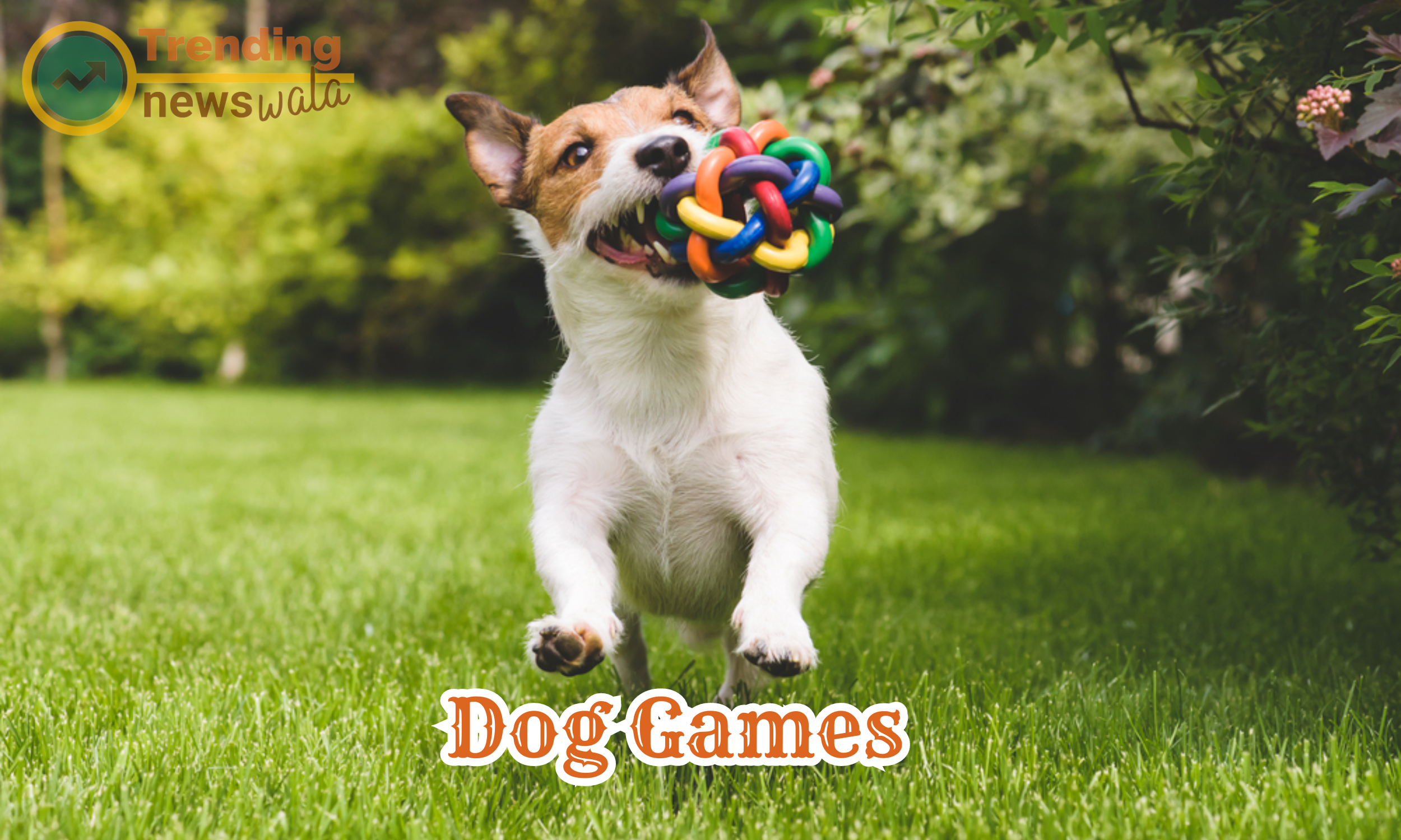 The 10 fun dog games mentioned: