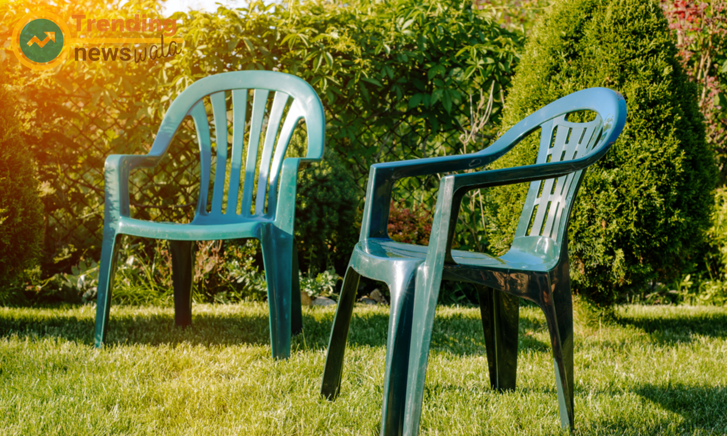Achieve the perfect balance of style and comfort with curved shell plastic chairs