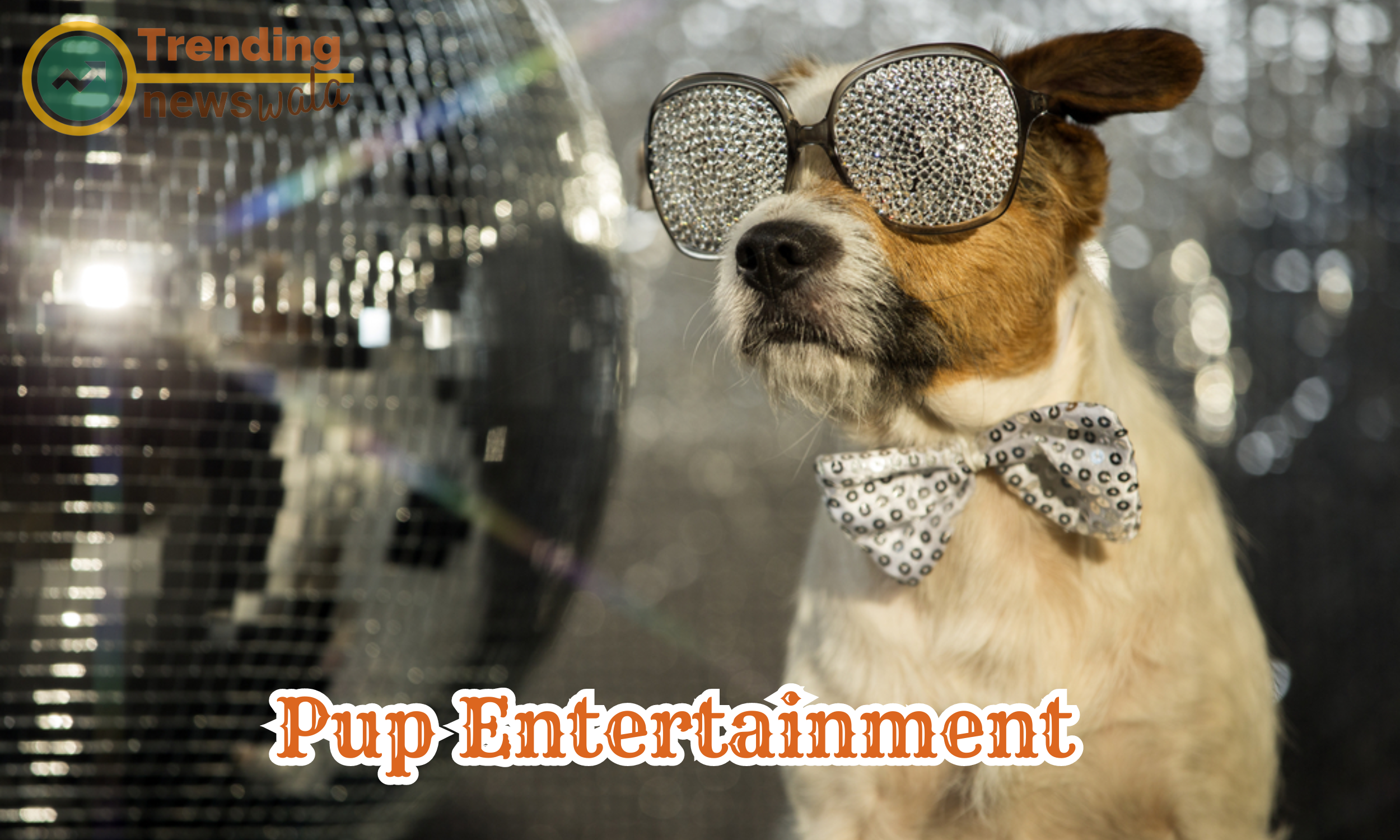  Pup entertainment involves engaging and enjoyable activities designed to keep your puppy