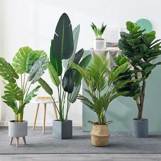 Fabric Plants, Artificial Plants