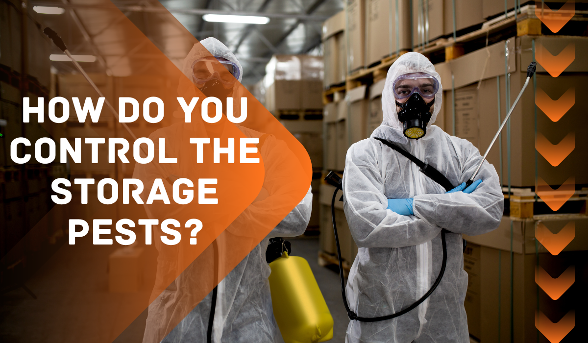 How Do You Control The Storage Pests?