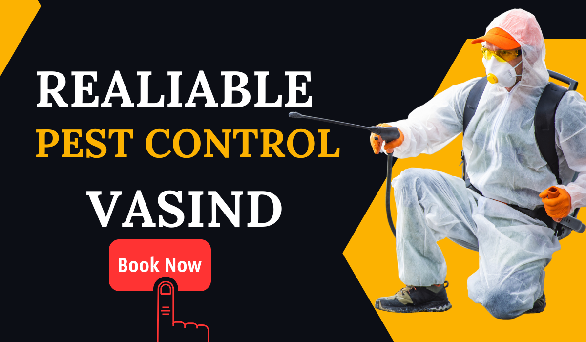 Pest Control Service in Vasind