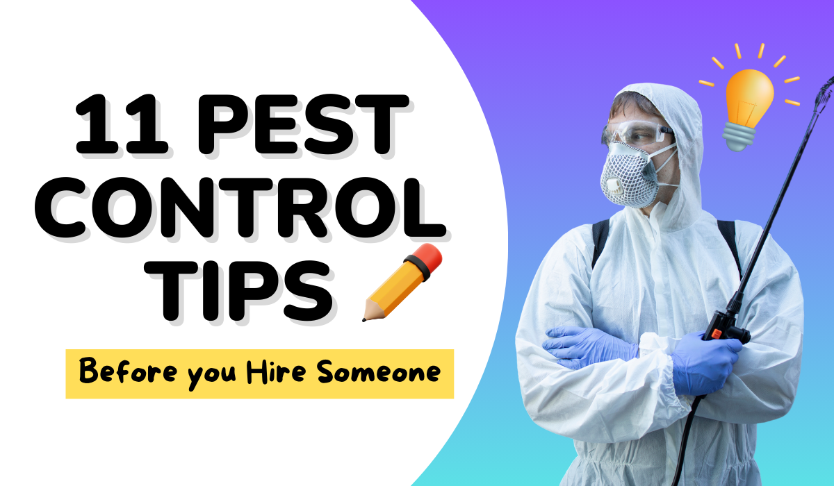 11 Easy Pest Control Tips to Keep Pests Away