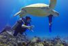 Top 5 Reasons Why You Should Try Scuba Diving In Goa