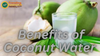 10 Benefits of Coconut Water