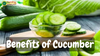 10 Benefits of Cucumber