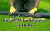 Top 5 Artificial Grass Wholesalers in Delhi
