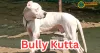 Bully Kutta