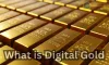 What is Digital Gold? A Comprehensive Guide to Investing in the Digital Age