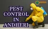 Pest Control in Andheri