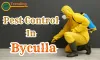 Pest Control Service Byculla
