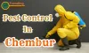  Pest Control Service In Chembur