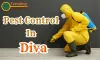 Pest Control Service In Diva