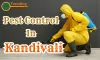 Pest Control Service Kandivali