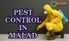 Pest Control Service Malad