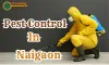 Pest Control Service in Naigaon