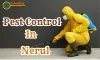 Pest Control Service in Nerul