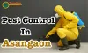 Pest Control Service in Asangaon