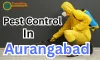 Pest Control Service in Aurangabad