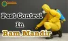 Pest Control Service in Ram Mandir